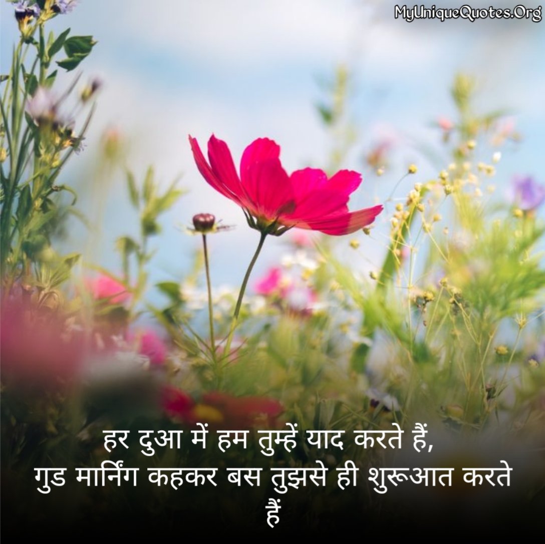 Good Morning Shayari 2 Line 