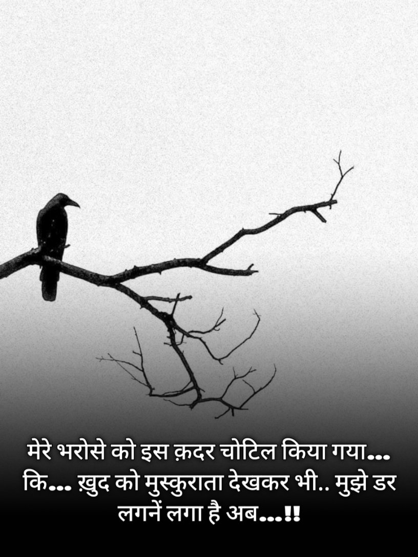 उम्मीद और भरोसा तोड़ने वाली शायरी 