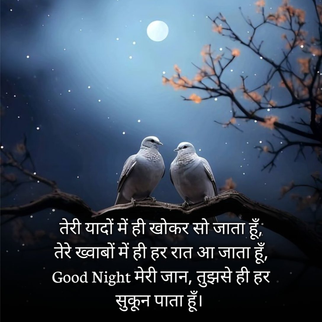 Good Night Shayari For Wife/GF